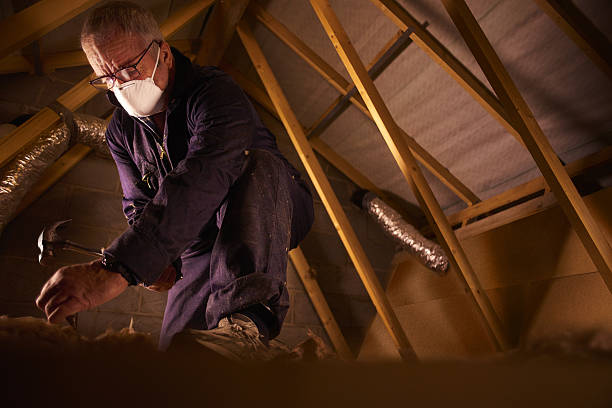 Best Specialized Insulation Services in Wauwatosa, WI